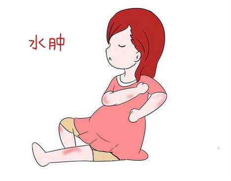 杭州代怀孕收费，杭州儿童正畸多少钱?