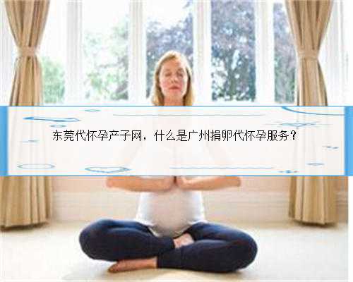 东莞代怀孕产子网，什么是广州捐卵代怀孕服务？