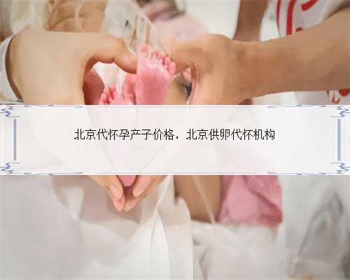 北京代怀孕产子价格，北京供卵代怀机构