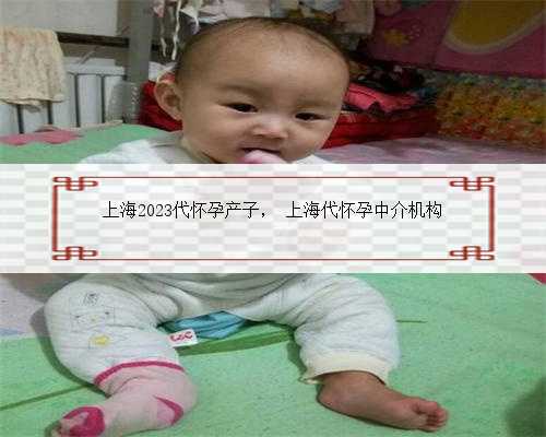 上海2023代怀孕产子， 上海代怀孕中介机构