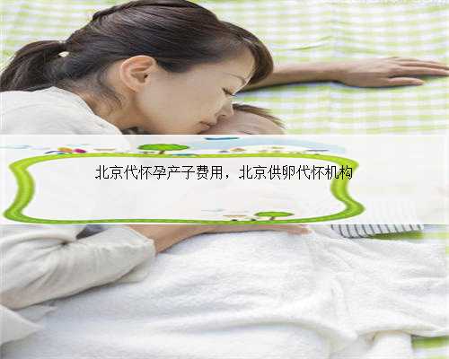 北京代怀孕产子费用，北京供卵代怀机构