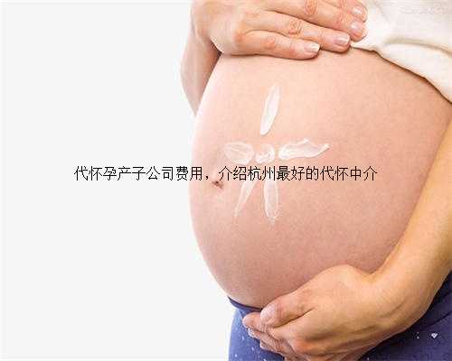 代怀孕产子公司费用，介绍杭州最好的代怀中介