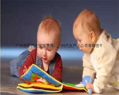 广州供卵代生宝宝费用，广州代生产子公司有哪些？