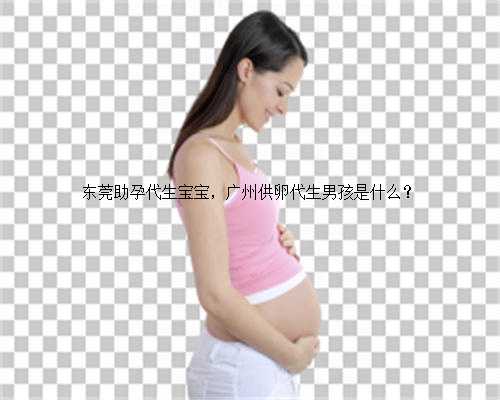 东莞助孕代生宝宝，广州
