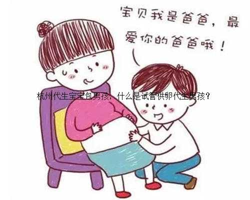 杭州代生宝宝包男孩，什么是试管供卵代生男孩？
