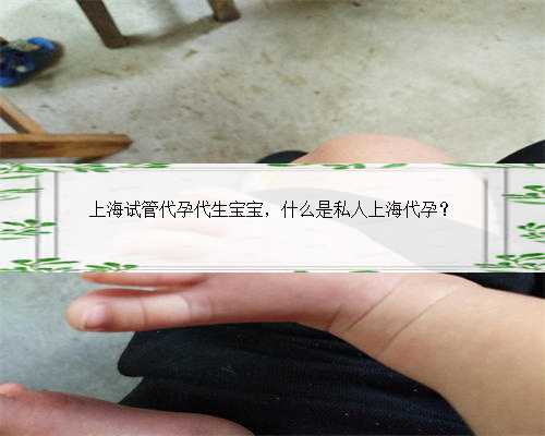上海试管代孕代生宝宝，什么是私人上海代孕？
