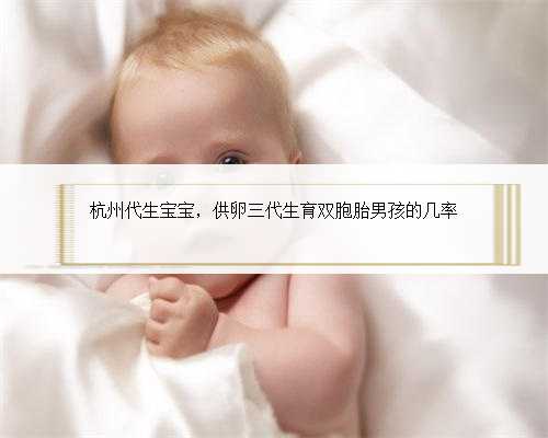 杭州代生宝宝，供卵三代生育双胞胎男孩的几率