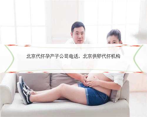北京代怀孕产子公司电话，北京供卵代怀机构