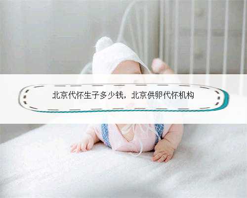 北京代怀生子多少钱，北京供卵代怀机构