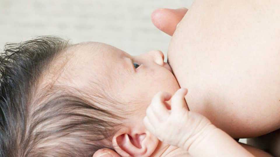 试管代孕价目表,试管婴儿hpv检查什么-试管婴儿hpv检查什么时候做