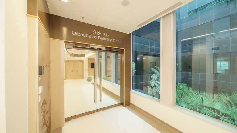 郑爽代孕风波背后，上亿身家一夜崩塌，代孕何以成为有钱人游戏？