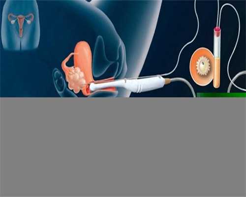 中国合法的试管机构_专业代孕网,
              胚胎移植后多吃芹菜对促进胚胎着