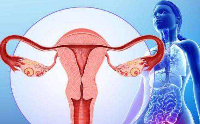 试管代孕权威医院是哪家_有正规代孕公司,做试管查常染色体吗(做试管查染色体