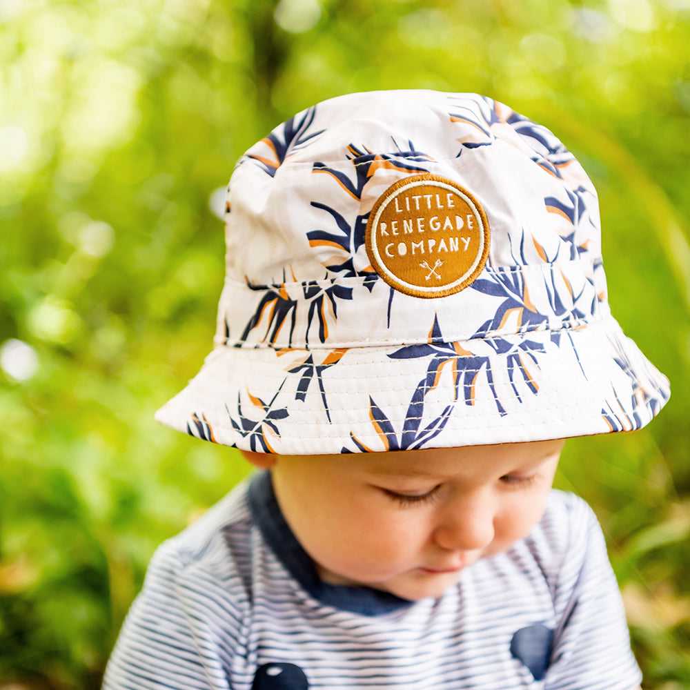 同源染色体如何形成 同源染色体的概念