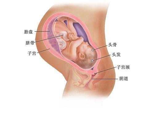 代孕产子：代孕3个月的女友，去医院检查，医生