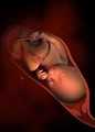 代孕流程·【助圆满人生】·女人第一次代孕一般
