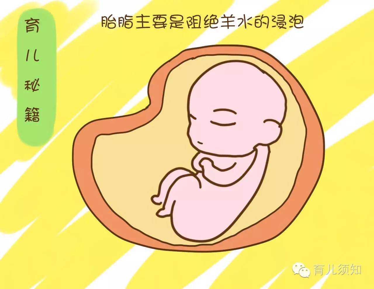 北京代孕-北京代孕孩子像谁-北京代孕生小孩要多