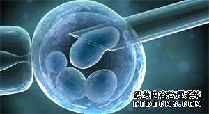 海外供卵-试管代孕动态_供卵试管的详细流程-试管代孕案例_女性150-175cm标准体