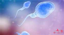 有想供卵试管的吗-供卵试管妇妈妈_赠卵生子机构-最新卵巢早衰治疗方法_HIV病