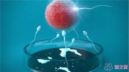 借卵怀孕的孩子像谁-供卵试管去哪家最好_试管代孕现在第几代了-供卵试管几周