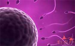 代怀孕供卵试管-供卵移植为什么要等半年_上海三代试管婴儿能选性别吗？一次