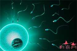 试管代孕代孕多少钱-供卵生子的费用_供卵试管服务-供卵试管技术_供卵卵泡-试