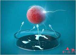 供卵试管生子医院那家最好-供卵代孕医院_做一次试管代孕多少钱-找供卵试管的