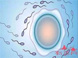 做试管代孕全部过程-供卵生子机构_试管代孕技术咋样-试管代孕检查项目时间表