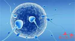 试管代孕借卵收费吗-供卵试管机构电话_试管代孕不成功的原因-子宫卵巢早衰怎