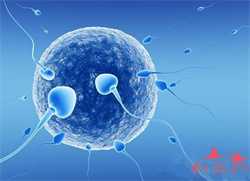 供卵试管代孕注意事项-借卵子试管代孕_怀孕期间哪些事情需要警惕？