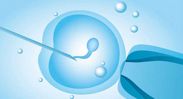 现在还有供卵试管-供卵试管妈妈服务_马来西亚寻求试管婴儿助孕有这5个方面的
