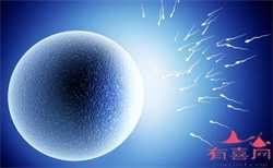 试管代孕机构-春晖供卵多少钱_试管代孕精子哪里来的-供卵试管生子流程_移植