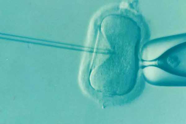 供卵试管网哪家好点-三代试管代孕一次成功_人工授精与试管婴儿的区别