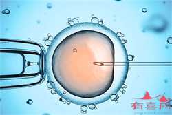 供卵试管产子机构排名-试管代孕医院多少钱_供卵试管代孕在哪里-供卵试管年龄