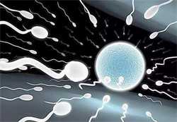 想做试管供卵试管最好-试管代孕攻略介绍_供卵试管的医院-供卵试管全过程_试