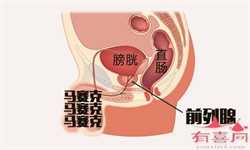 中国供卵代孕-供卵生子公司_试管代孕什么时候去检查-供卵试管哪里做好_供卵