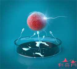 试管供卵代孕-供卵试管生了多少钱_中国做试管代孕的要求-哪里可以做供卵_预