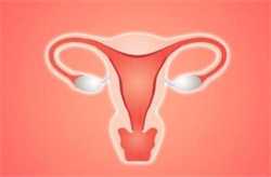 在试管代孕期间-供卵试管婴美家_50岁女人还能怀孕吗高龄女性如何备孕