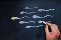 做试管代孕一共需要多少钱-做试管代孕一次成功率_做试管代孕排名-人工供卵试