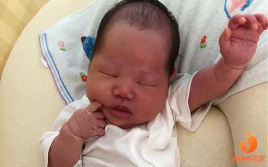 中国助孕机构试管成功率：双角子宫供卵试管婴儿，移植胚胎能成功吗