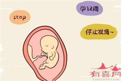 天津试管代孕代生宝宝，天津做试管婴儿哪家医