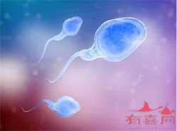 重庆供卵代生宝宝生殖，重庆试管_重庆市妇幼保健院做二代试管成功率高吗