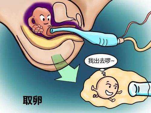 北京代生宝宝中心公司，北京医院生殖中心排行有吗？谁比较好呢？