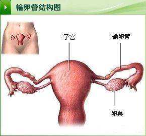 南京代怀哪里放心，南京试管婴儿私立医院哪家好？