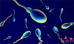 坤和代生宝宝地址，性染色体异常可以生宝宝吗？