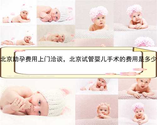 北京助孕费用上门洽谈，北京试管婴儿手术的费用是多少