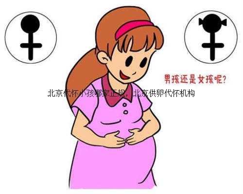 <b>北京代怀小孩哪家正规，北京供卵代怀机构</b>